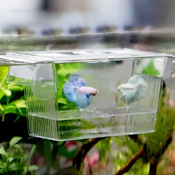 Akrüül Aquarium Fish Tank Aretus Isolatsiooni Kasti Akvaariumi Isolatsiooni Kasvataja Haudejaama Omanik Tarvikud Kala Tarvikud